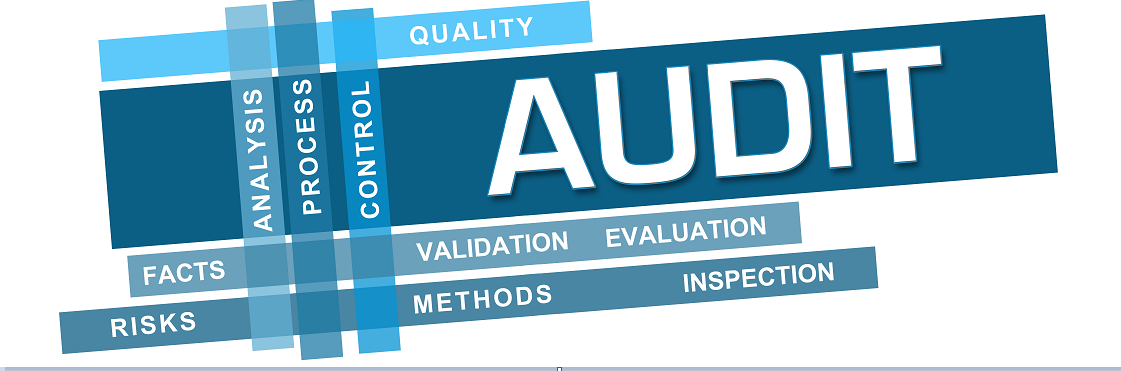 Institute Inspection Visit Results for 2019