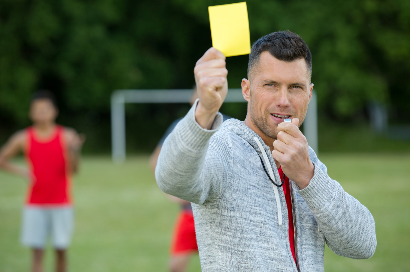 The Auditor as Referee